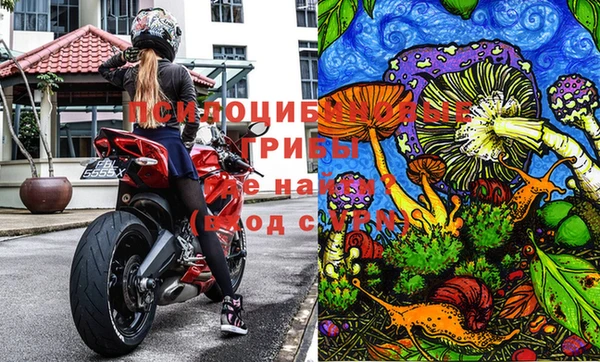 Альфа ПВП Сафоново