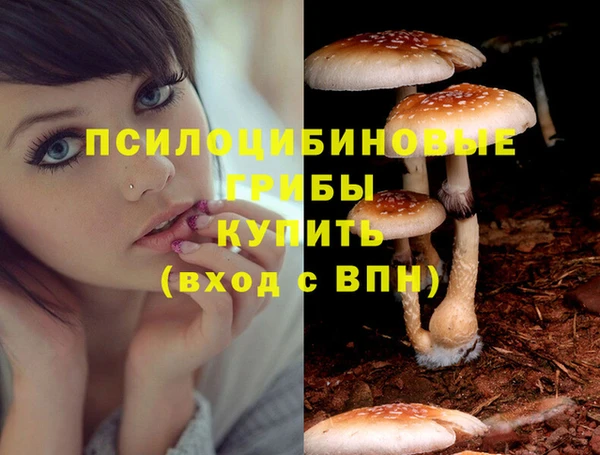 Альфа ПВП Сафоново