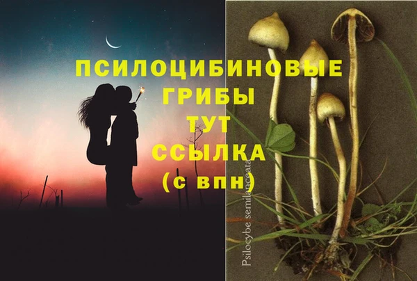 дмт Сатка
